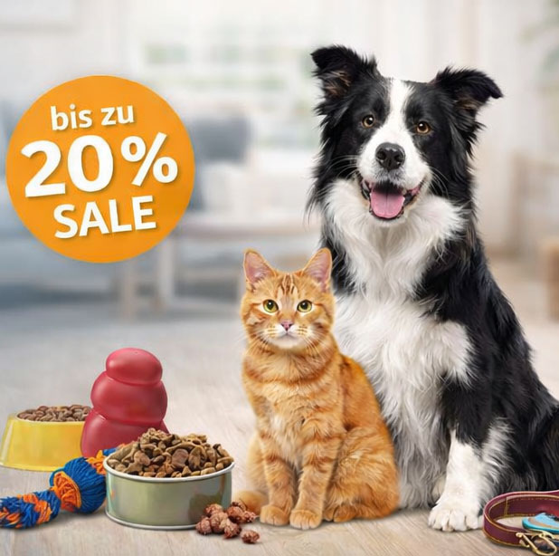 Jetzt Angebote & Deals sichern