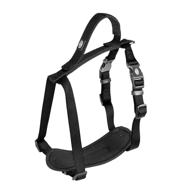 Duvoplus EXPLOR North Geschirr - Schwarz - 40-50cm/15mm