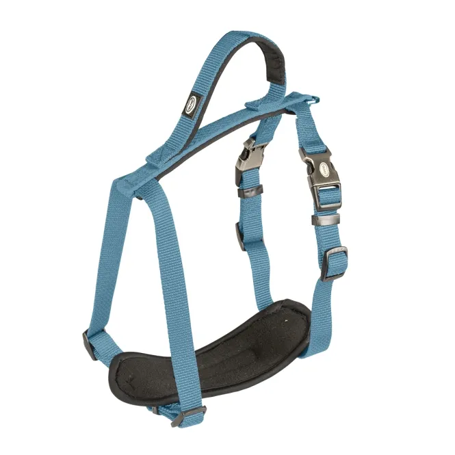 Duvoplus EXPLOR North Geschirr - Petrolblau - 65-80cm/25mm