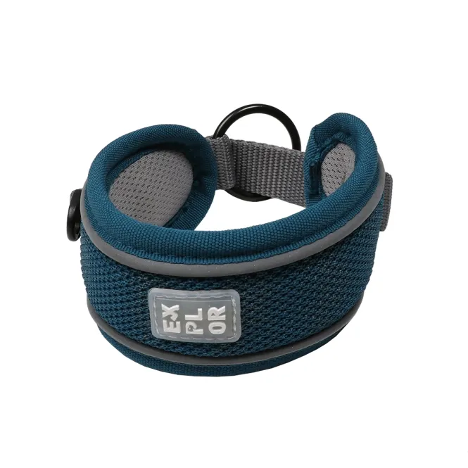 Duvoplus EXPLOR Ultimate Fit Control Halsband Classic - petrol blue - XS - 30-33cm